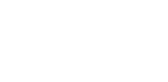 G&S Conexiones Estratégicas